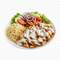 Döner Tabağı (Normal)